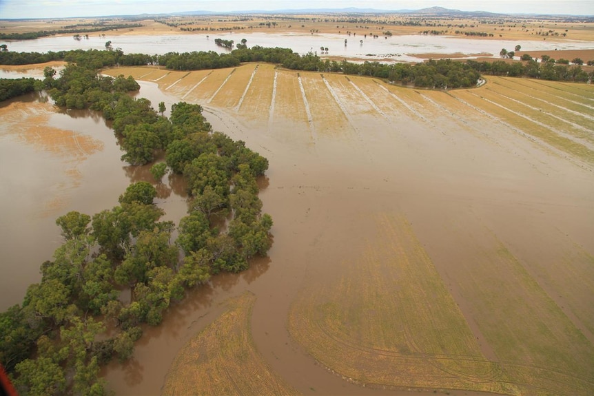 Loddon River flooding