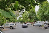A number of large green trees hand over a suburban street in South Melbourne.