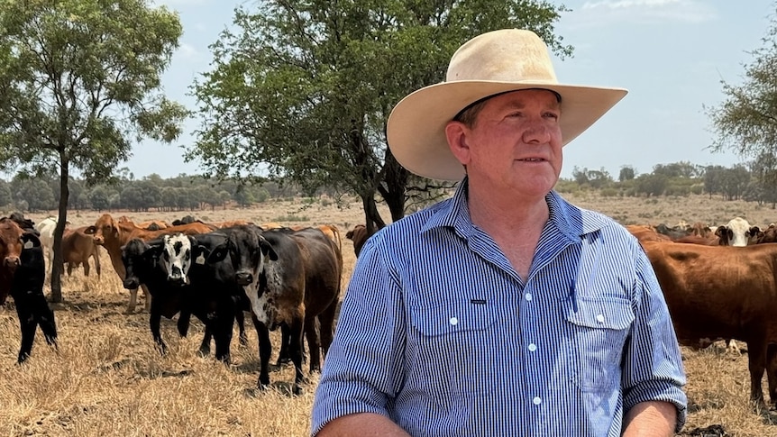 Man wearing a hat standing in a paddock with cattle in the background