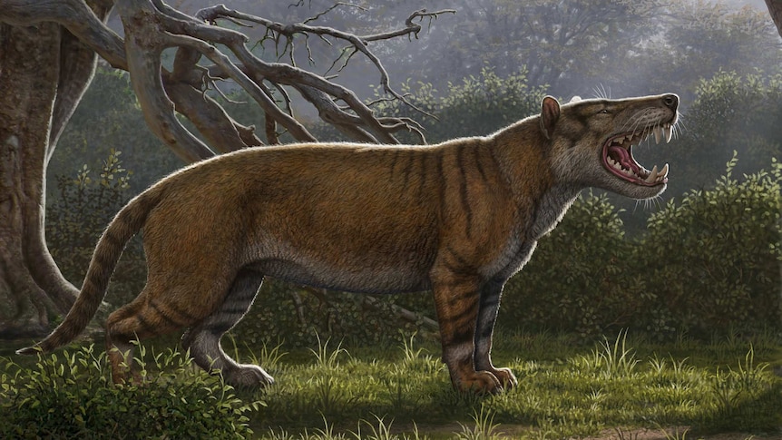 A drawing of a large lion-like animal baring its teeth.