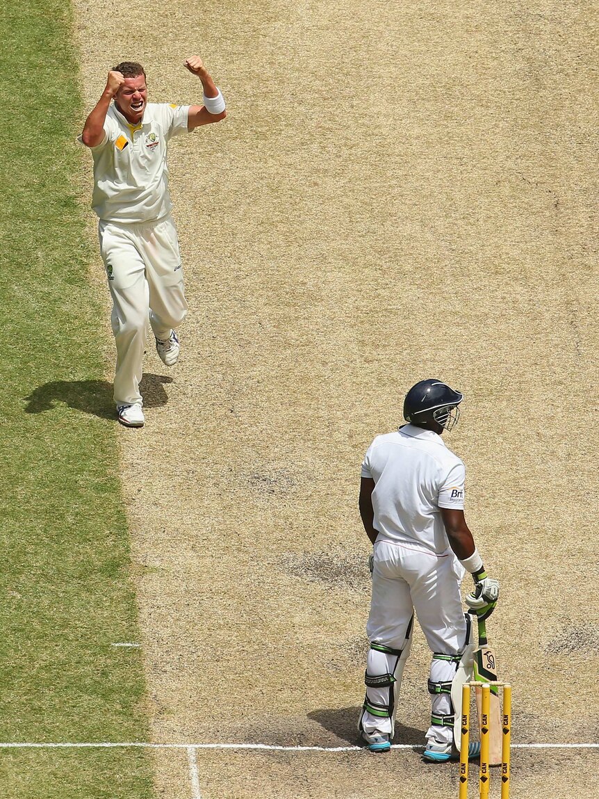 Siddle celebrates the wicket of Carberry