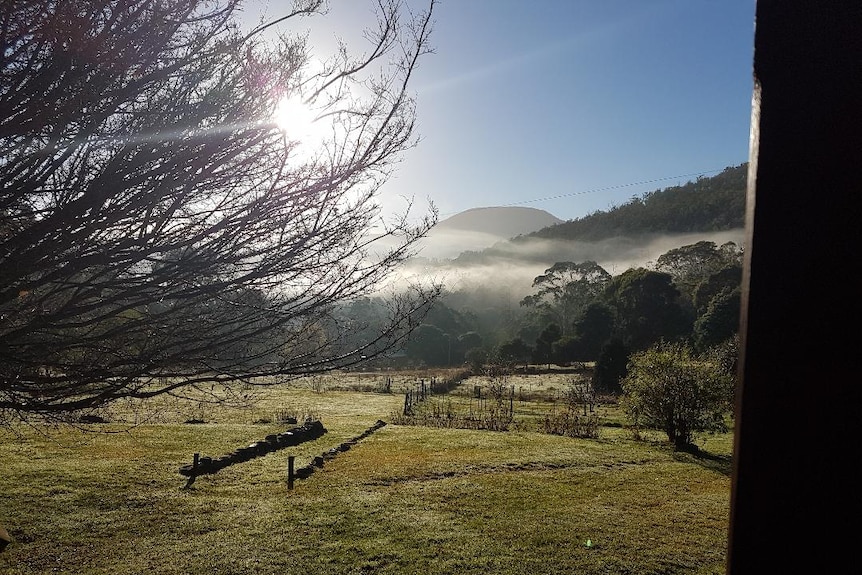 A green backyard with mist swirling through hills in the background