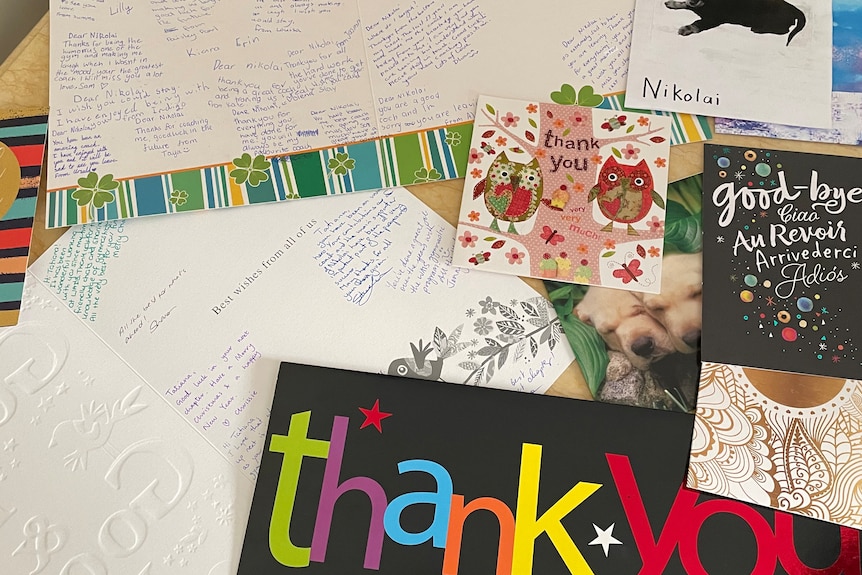 Thank you cards arranged face-up on a table.