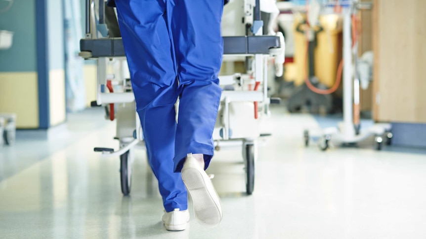 A doctor in blue scrubs walks along a hospital hall pushing a hospital bed in front of them