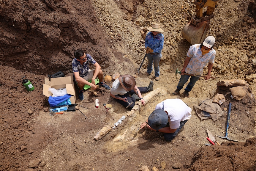Researchers work to remove fossils from pit. 