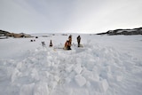 Mawson Hut expedition ice dig
