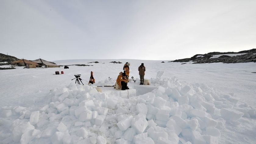 Expeditioners say the fuselage is under three metres of ice.