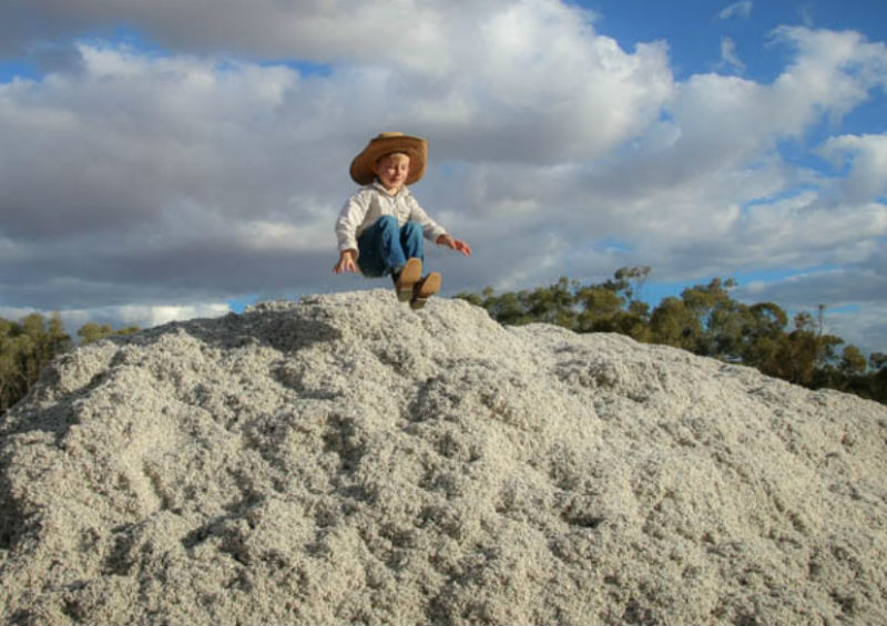 Boy playing in a mound of cottonseed