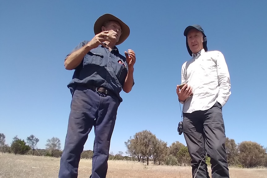 Farmer in hat and blue work pants and top in paddock with man in legionnaire cap, white shirt blue pants in paddock
