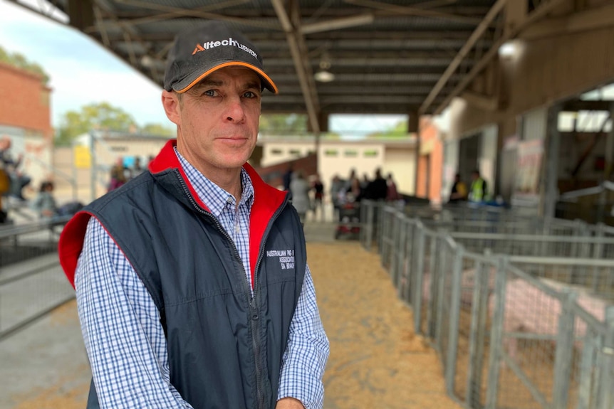 Murray Bridge pig farmer Greg Davis at the Royal Adelaide Show.