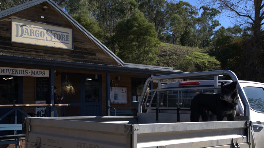 a black dog in the back of a ute outside the Dargo Store.