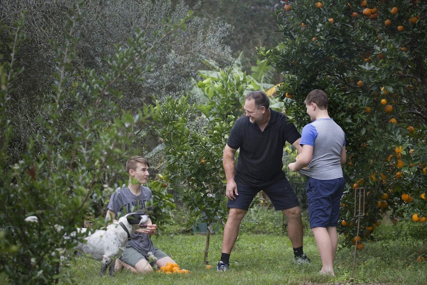 Mark Valencia picks fruit from a tree while his two boys look on.