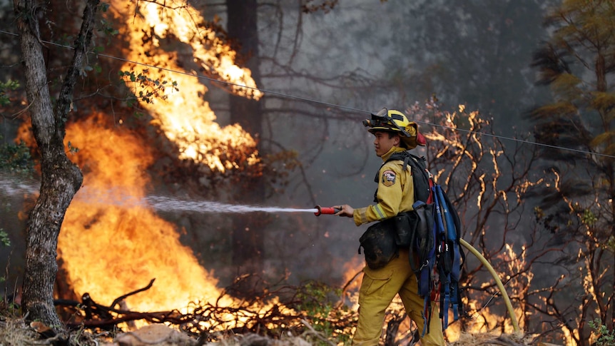 A firefighter hoses down flames as a wildfire advances