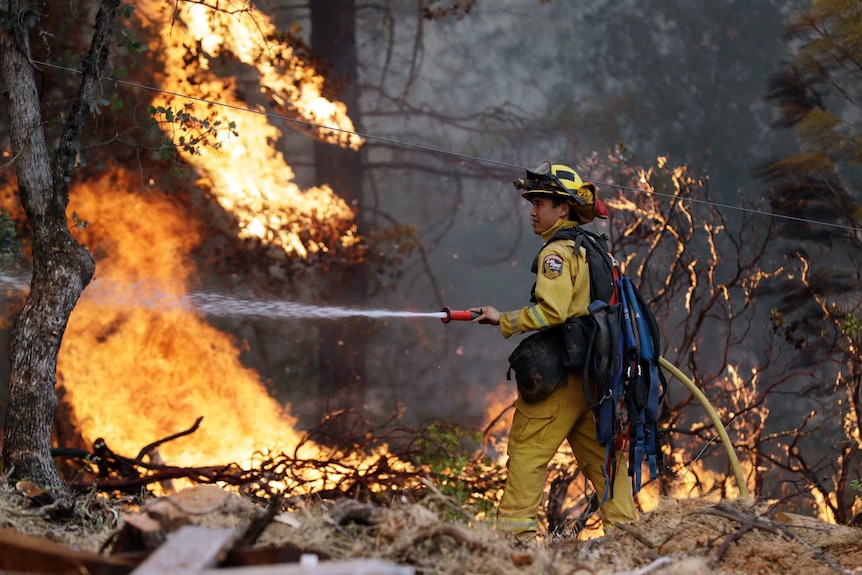 A firefighter hoses down flames as a wildfire advances
