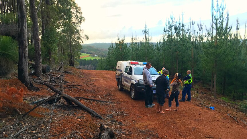 Police questioning suspected magic mushroom pickers