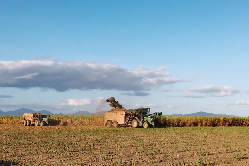 Large machinery engaged in cane harvesting in fields in the Whitsunday area