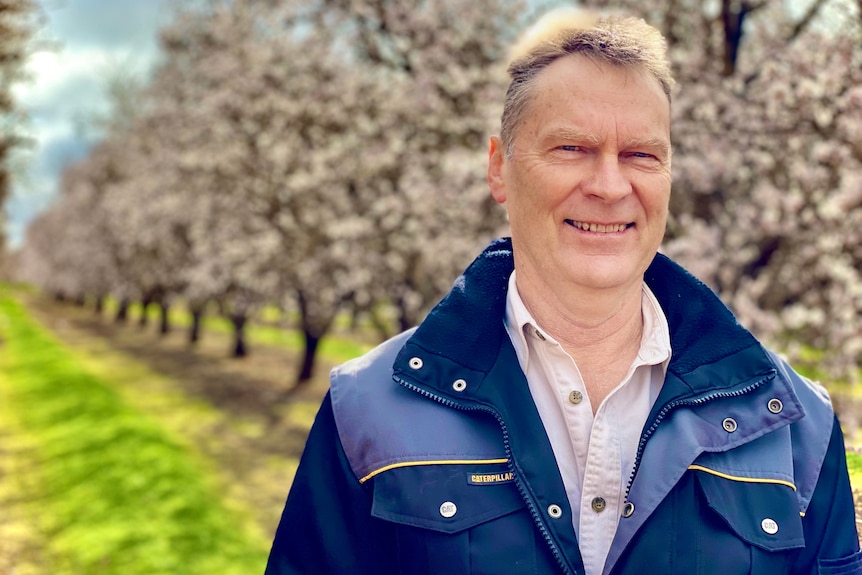 A man in a jacket stands in front of blossoming almond trees