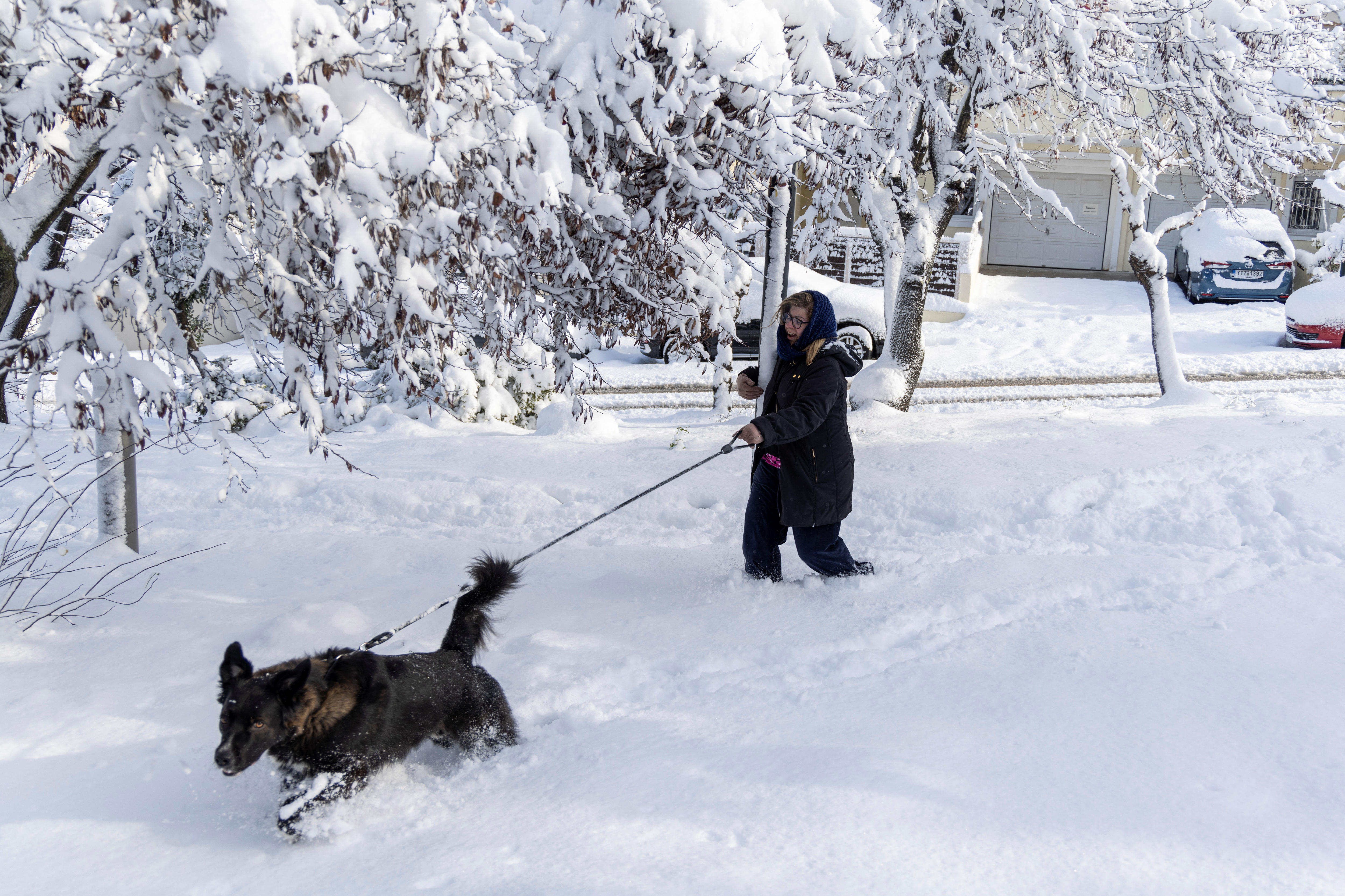 Acropolis dusted in snow as winter storm shuts schools and shops ...