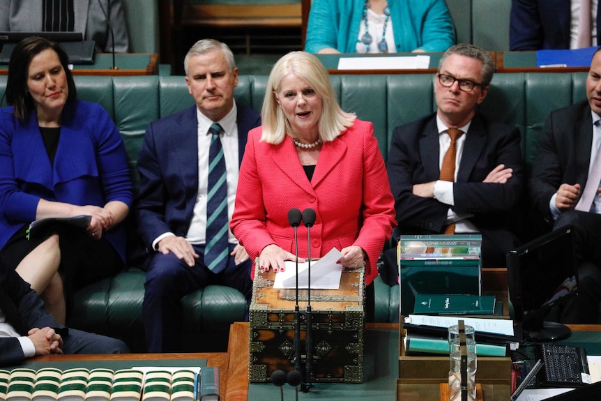 Minister Karen Andrews speaks at the despatch box in Question Time