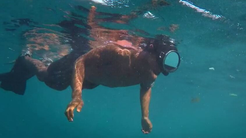 A survivor contestant underwater