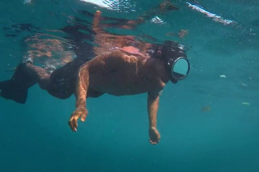 A survivor contestant underwater