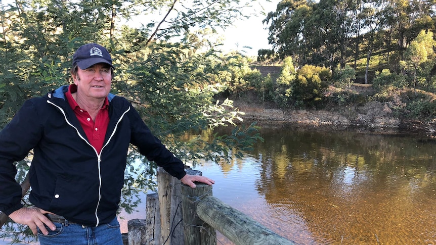 Vegetable grown John Hine on the banks of the Mitchell River.