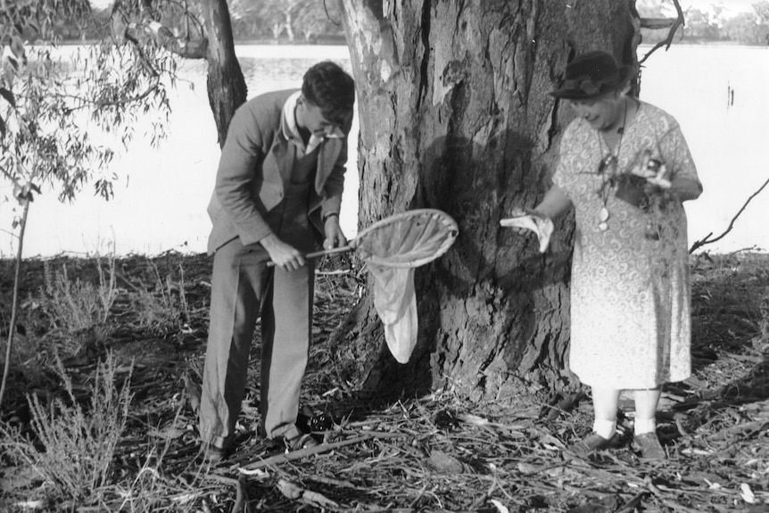 a  black and white photo of a man in a suit, crouched holding a butterfly net with a woman with white hair, hat and dress