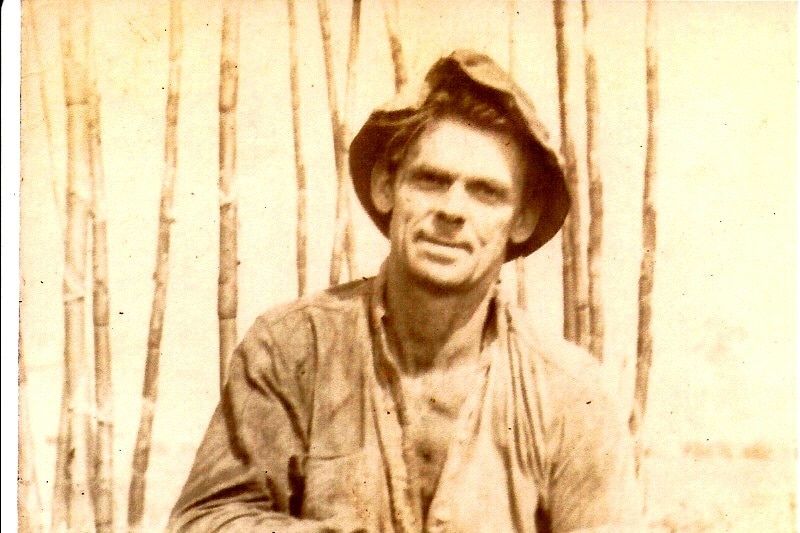 A black and white image of a man wearing an open shirt and hat crouching in front of cane sugar crops.