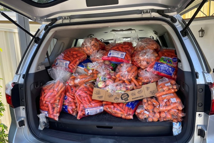 A picture of bags of carrots piled up in the boot of a car.