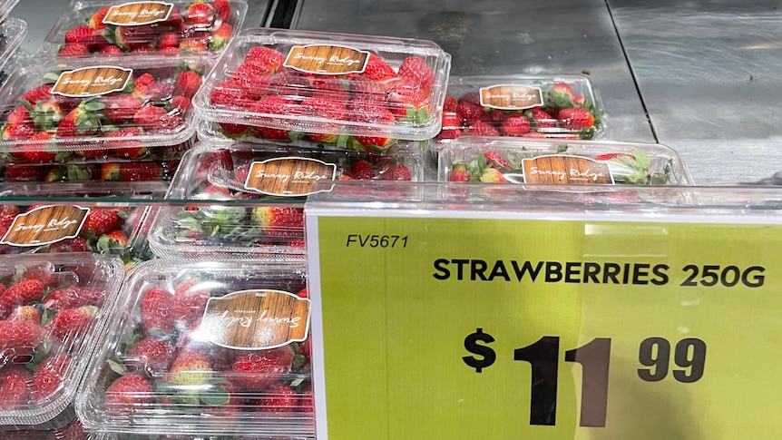 Strawberry prices hit record highs as winter harvests come to a halt