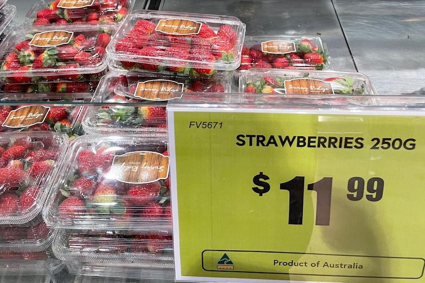 Strawberries in a Canberra supermarket