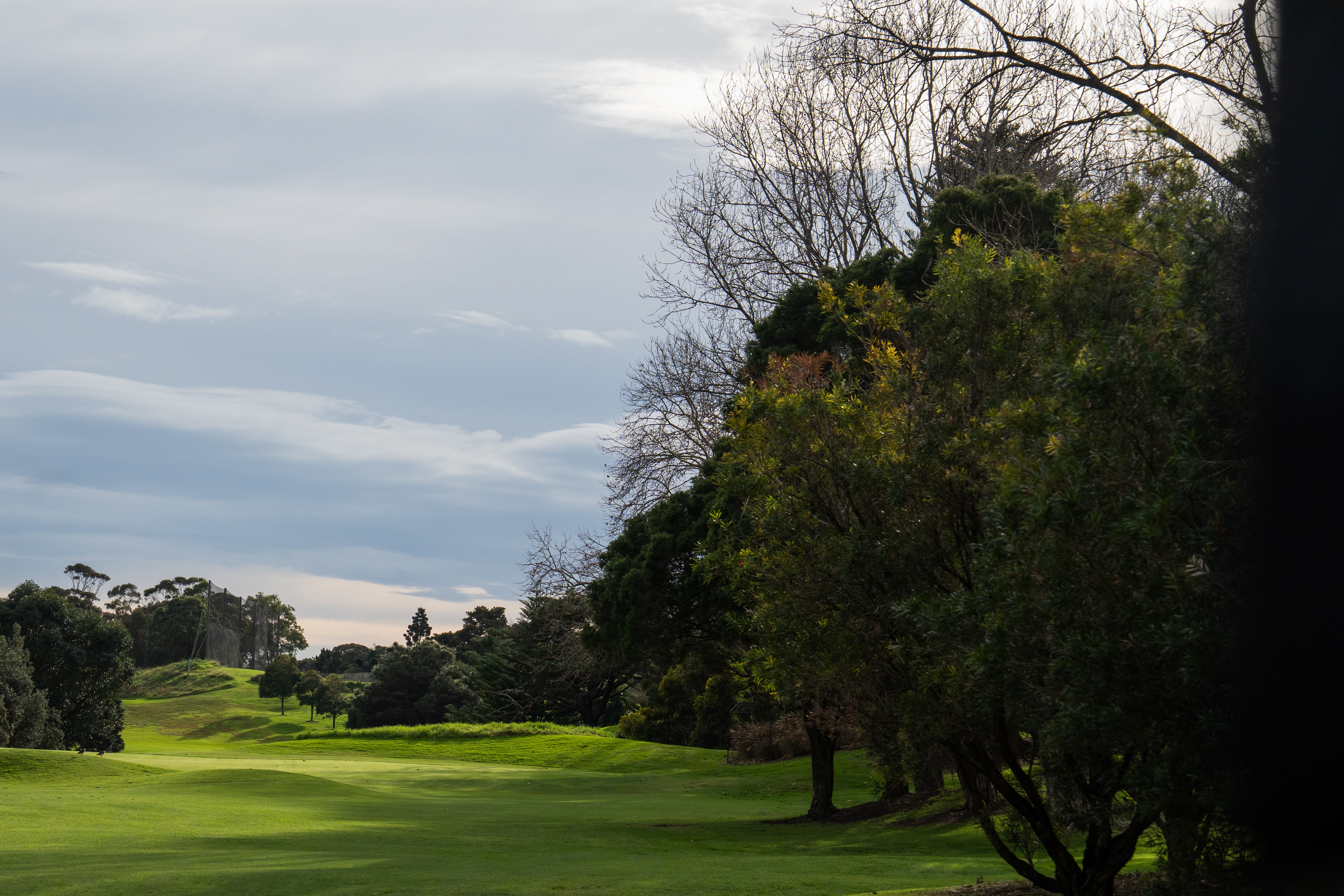 Moore Park golf course with green slopes, hole closed signs, trees and politicians.
