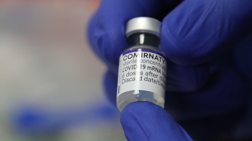 A blue-gloved hand holds a bottle of vaccine.