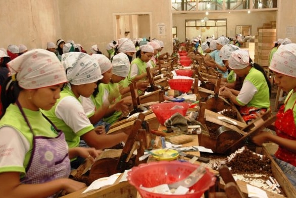 A row of women rolling cigarettes by hand wooden machines.