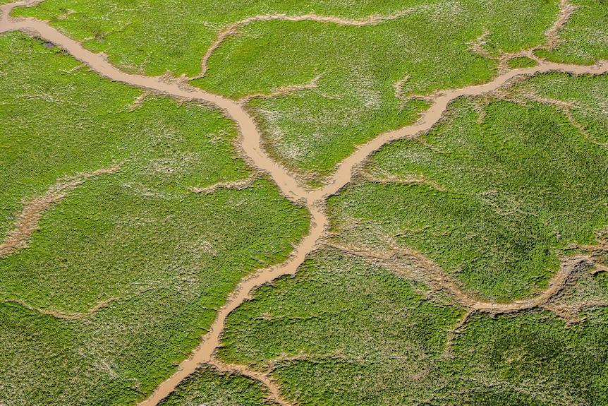 Water and new green growth is seen over land around Lake Eyre North in Northern South Australia.