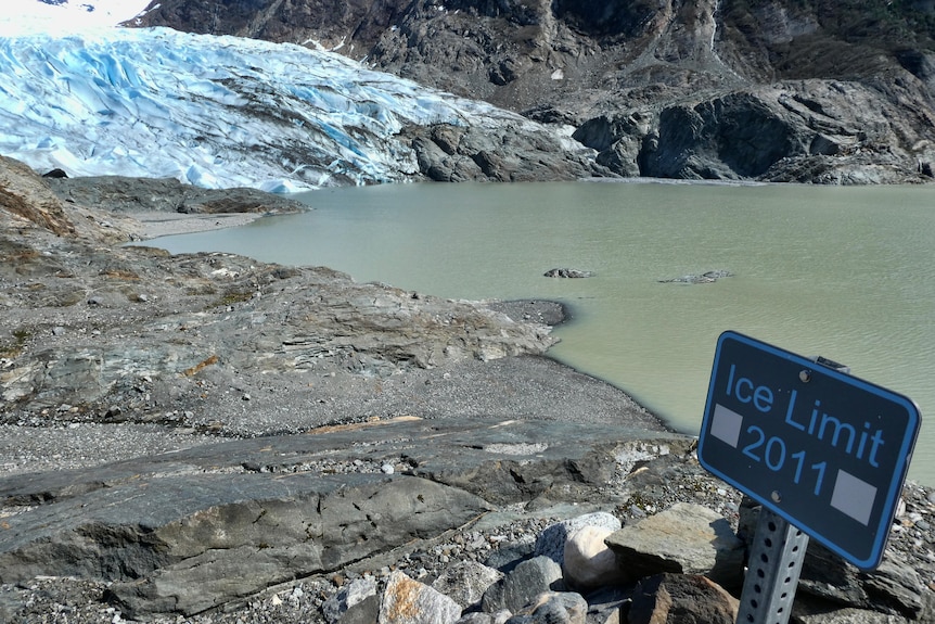 The Mendenhall Glacier in Juneau, Alaska (pictured in 2011) has lost 2.5 billion metric tonnes of snow and ice since 2000.