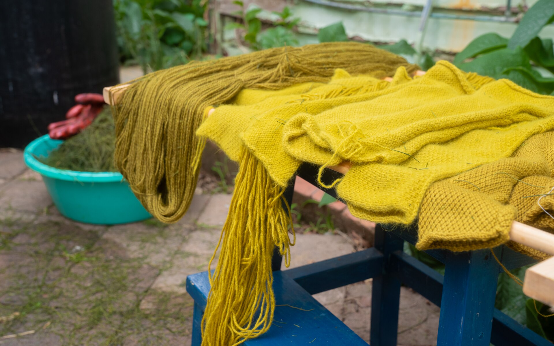How to use plants to dye clothes naturally ABC Everyday