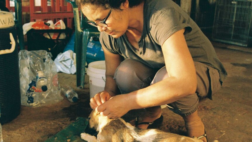Gloria Morales checking on two local dogs.