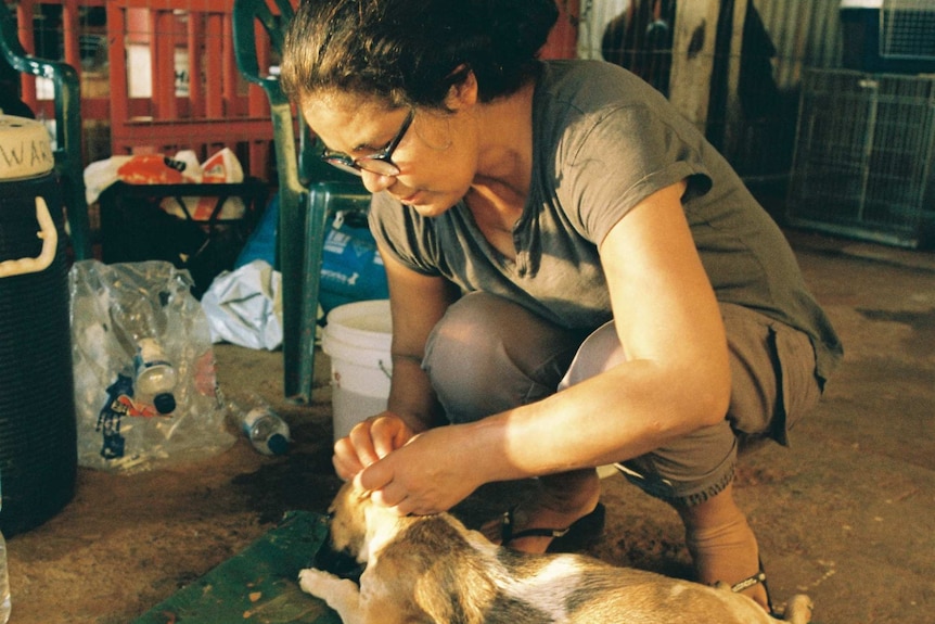 Gloria Morales checking on two local dogs.