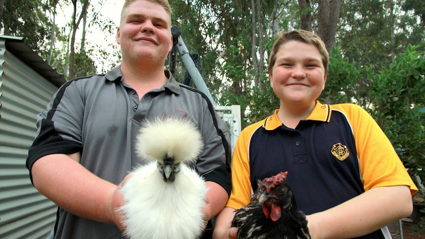 Funky chickens turn into a cracking business for teenage entrepreneurs -  ABC News