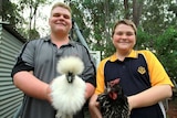 Two teenage boys holding unusual chickens, which they breed to make money.