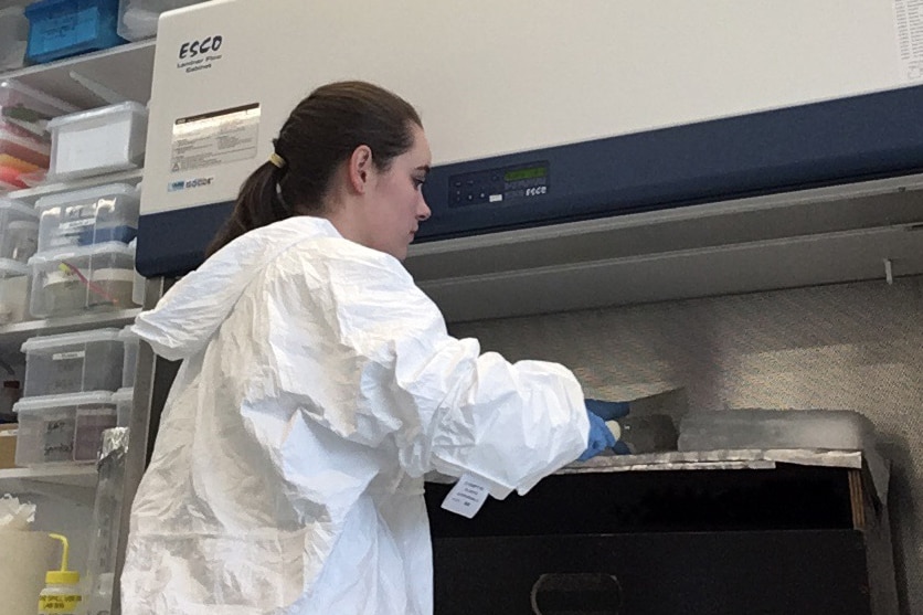 A researcher in a lab coat.