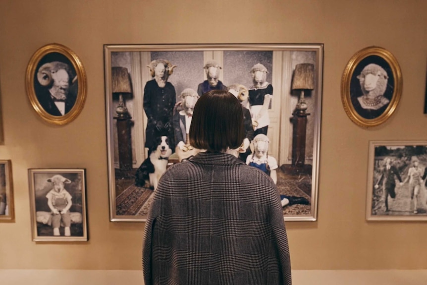 A woman looking at wall of photo frames containing imaged of people with Merino sheep heads.