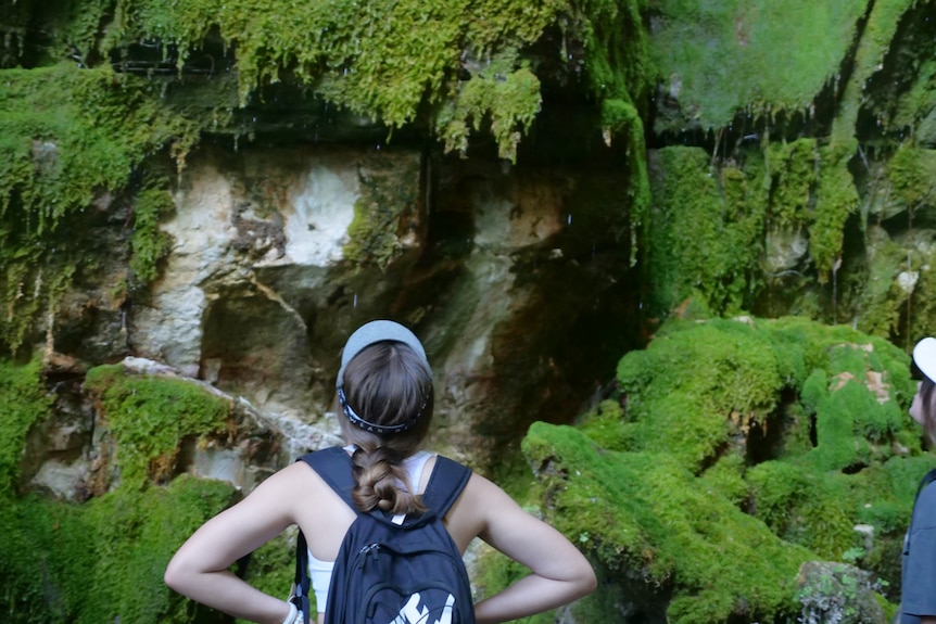 A girl with her hands on hips, looking at a wall of bright green moss.