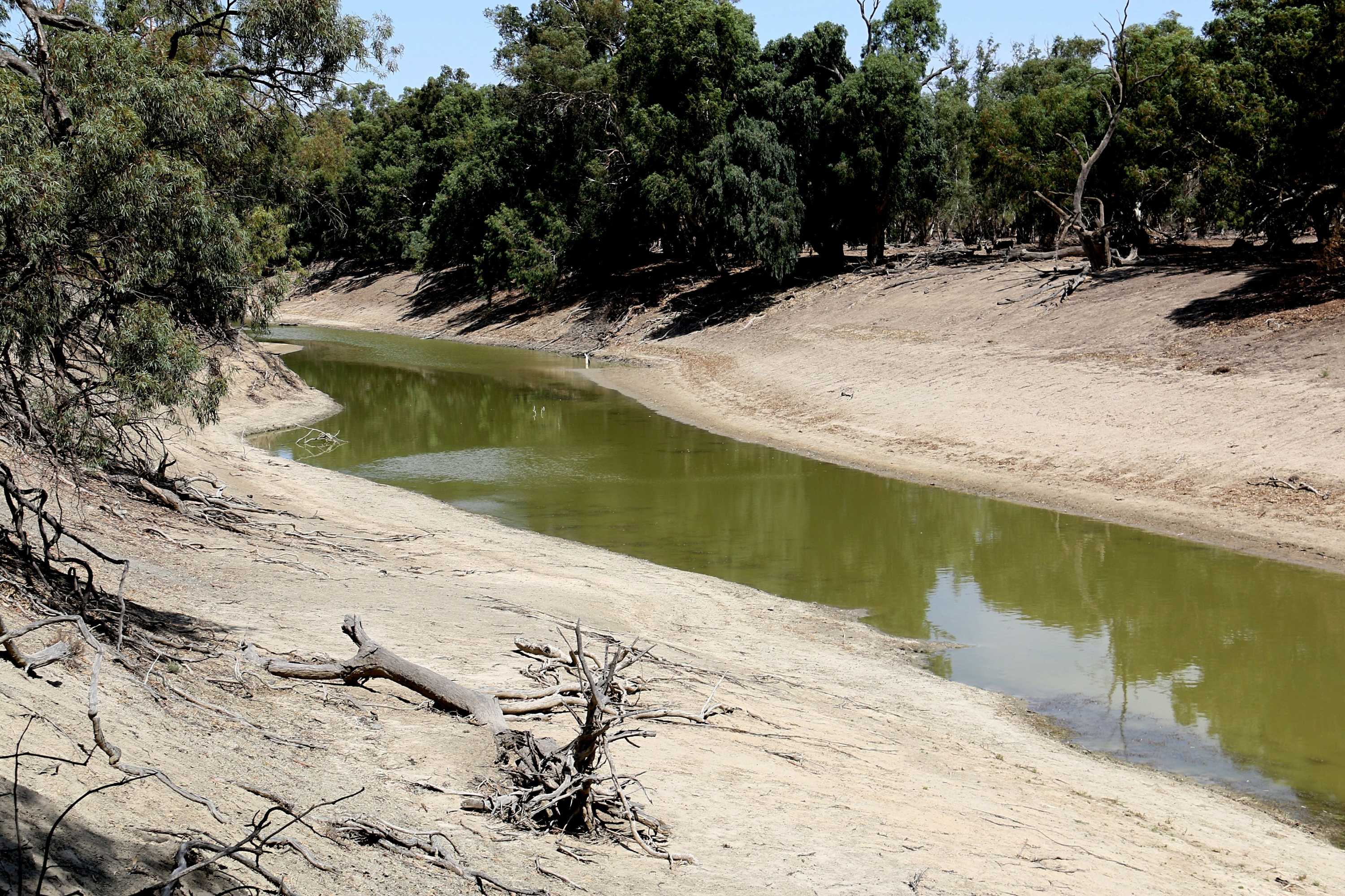 Дарлинг река в австралии
