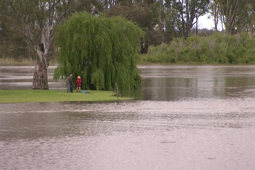 A man with children on land surrounded by water and trees