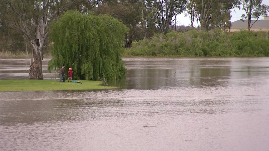 A man with children on land surrounded by water and trees