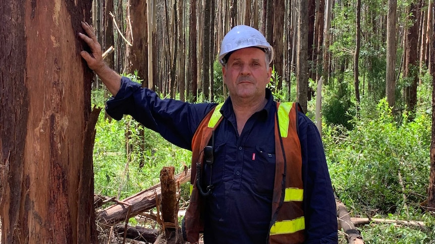 Gary Moran, wearing a fluro vest and hard hat stands with his hand up against a tree.