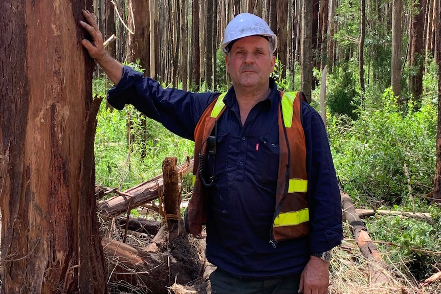 Gary Moran, wearing a fluro vest and hard hat stands with his hand up against a tree.