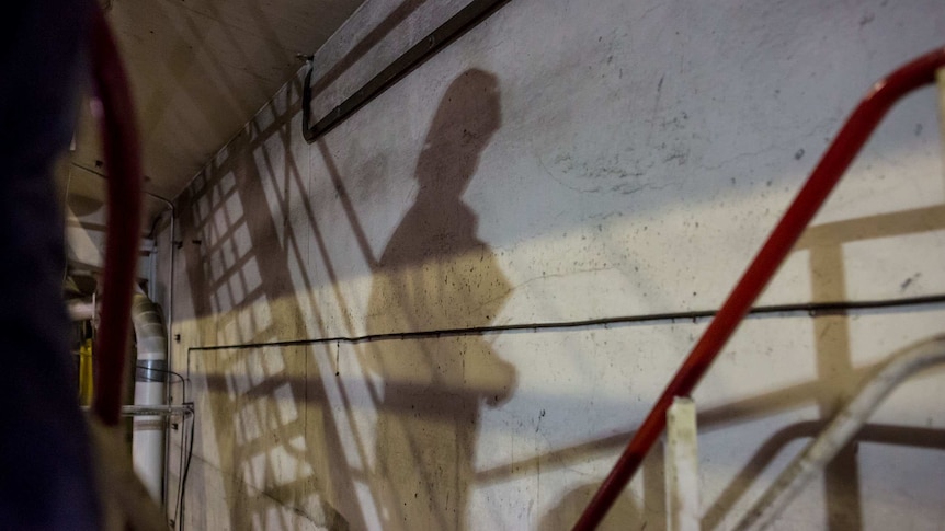 A worker's shadow falls on the wall of the power plant